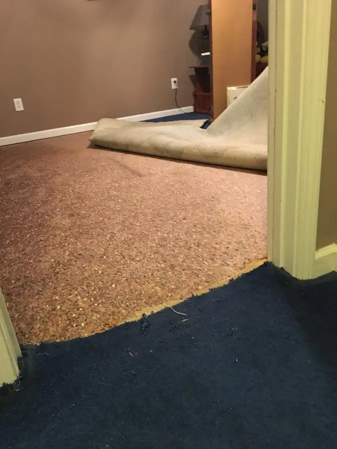 Carpet pad removal revealing water damage during Drying & Dehumidification in East Earl